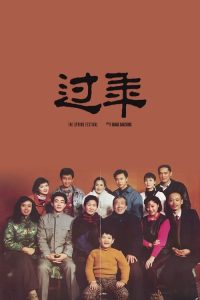 过年 (1991)国产剧情.阿里云盘.百度网盘下载观看 电影 第1张